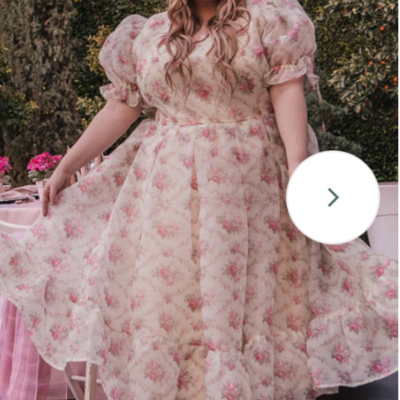 Jessakae Amelia Dress 4x NWT - Picture 2 of 6